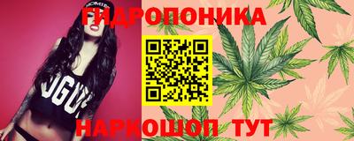 не бодяженный Лесосибирск