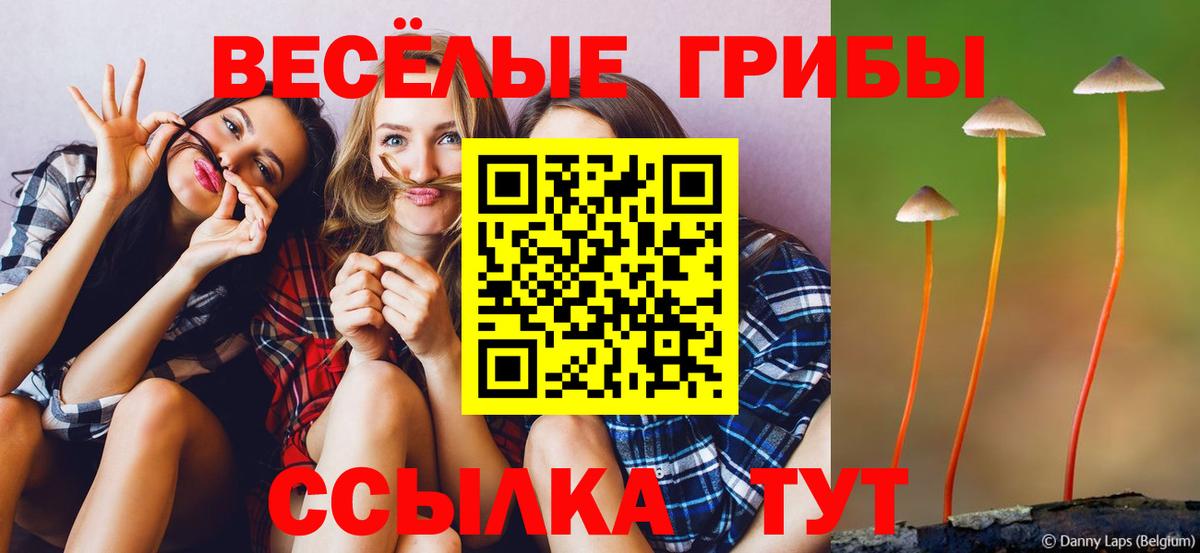 Псилоцибиновые грибы Cubensis Зеленогорск