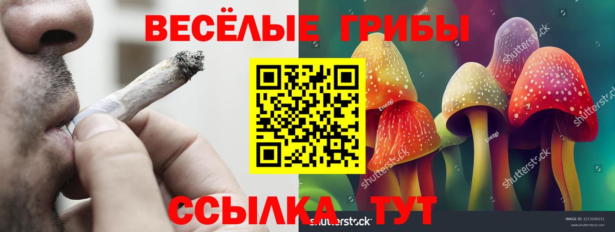 Зеленогорск  Галлюциногенные грибы прущие грибы  Вход с VPN 